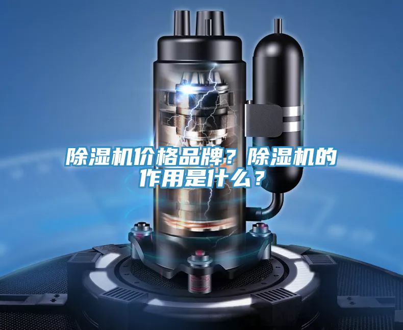 除濕機(jī)價(jià)格品牌？除濕機(jī)的作用是什么？