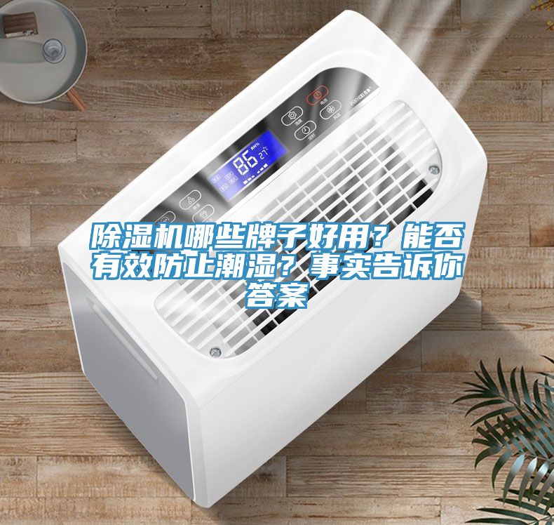 除濕機哪些牌子好用？能否有效防止潮濕？事實告訴你答案