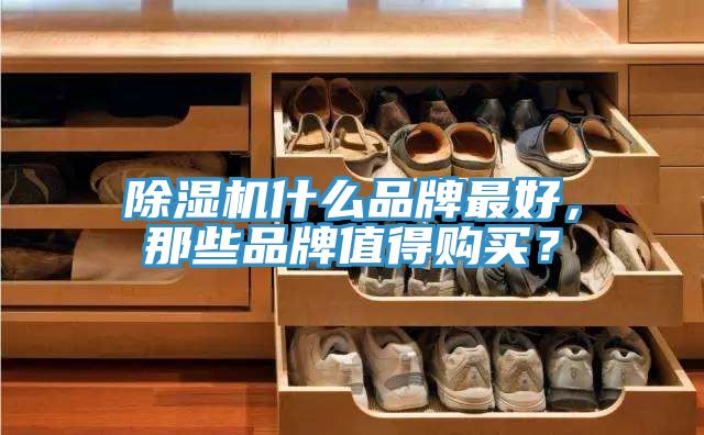 除濕機(jī)什么品牌最好，那些品牌值得購買？