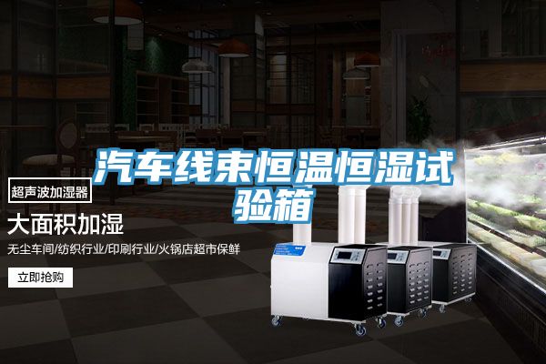 汽車(chē)線(xiàn)束恒溫恒濕試驗(yàn)箱