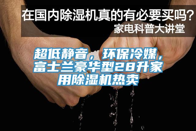 超低靜音，環(huán)保冷媒，富士蘭豪華型28升家用除濕機(jī)熱賣(mài)