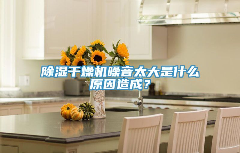 除濕干燥機(jī)噪音太大是什么原因造成？