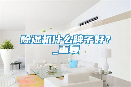 除濕機(jī)什么牌子好？_重復(fù)