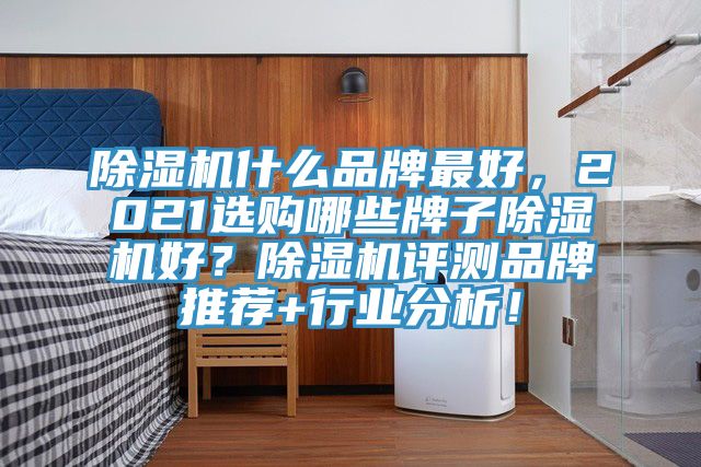 除濕機(jī)什么品牌最好，2021選購哪些牌子除濕機(jī)好？除濕機(jī)評測品牌推薦+行業(yè)分析！