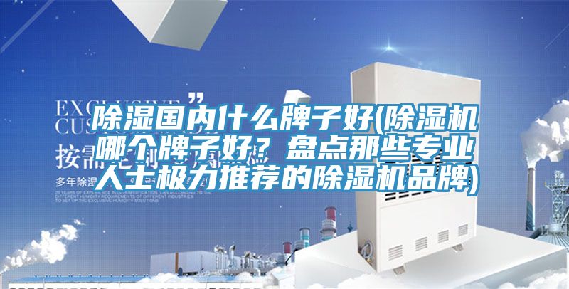 除濕國(guó)內(nèi)什么牌子好(除濕機(jī)哪個(gè)牌子好？盤點(diǎn)那些專業(yè)人士極力推薦的除濕機(jī)品牌)