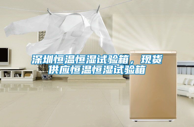 深圳恒溫恒濕試驗箱，現(xiàn)貨供應(yīng)恒溫恒濕試驗箱