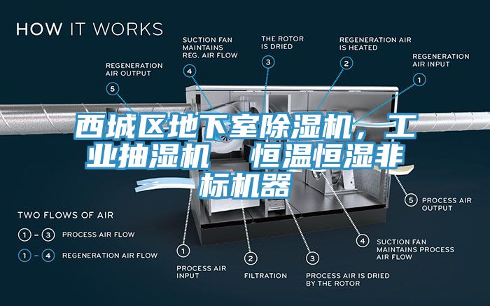 西城區(qū)地下室除濕機(jī)，工業(yè)抽濕機(jī)  恒溫恒濕非標(biāo)機(jī)器
