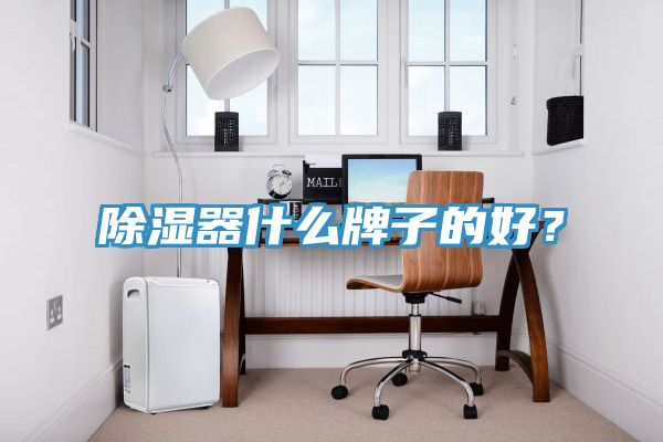 除濕器什么牌子的好？