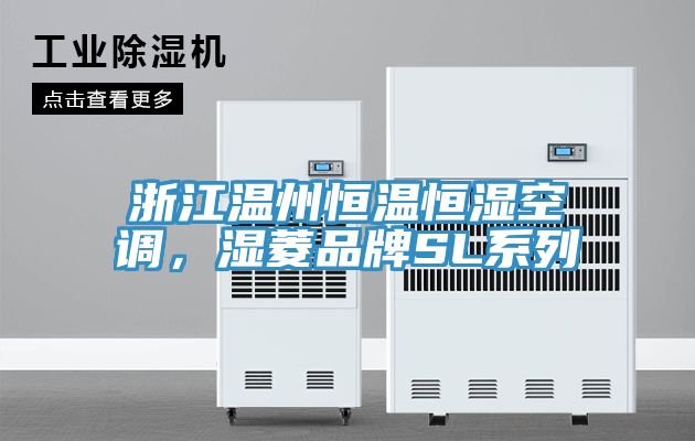浙江溫州恒溫恒濕空調(diào)，濕菱品牌SL系列