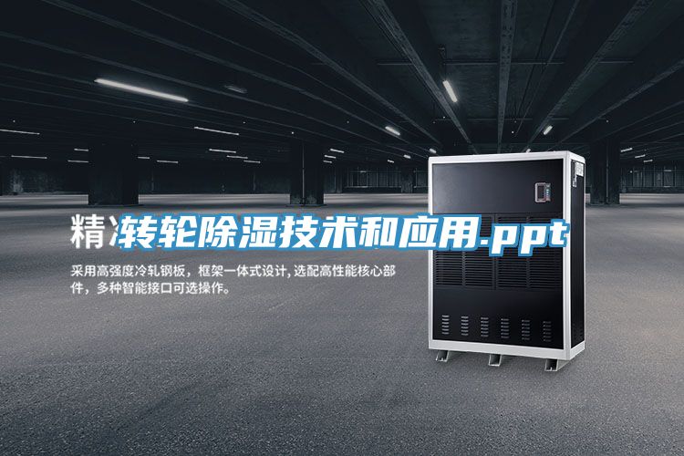 轉(zhuǎn)輪除濕技術和應用.ppt