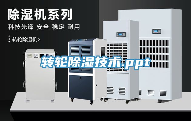 轉(zhuǎn)輪除濕技術.ppt