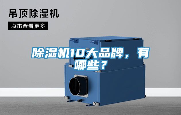 除濕機(jī)10大品牌，有哪些？