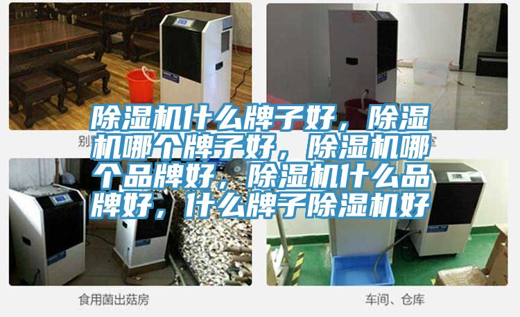 除濕機什么牌子好，除濕機哪個牌子好，除濕機哪個品牌好，除濕機什么品牌好，什么牌子除濕機好
