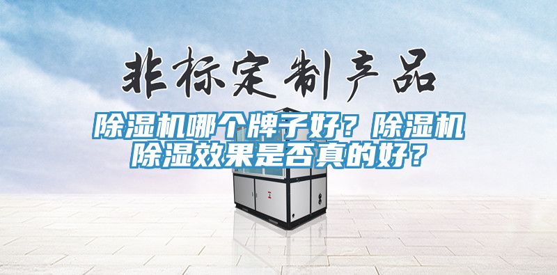 除濕機(jī)哪個(gè)牌子好？除濕機(jī)除濕效果是否真的好？