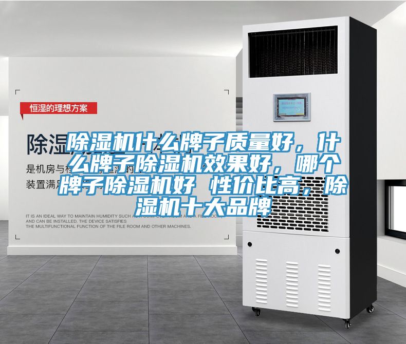 除濕機(jī)什么牌子質(zhì)量好，什么牌子除濕機(jī)效果好，哪個(gè)牌子除濕機(jī)好 性價(jià)比高，除濕機(jī)十大品牌