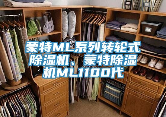 蒙特ML系列轉(zhuǎn)輪式除濕機、蒙特除濕機ML1100代