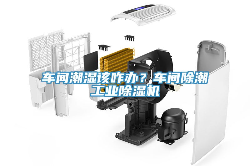 車(chē)間潮濕該咋辦？車(chē)間除潮工業(yè)除濕機(jī)