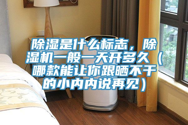 除濕是什么標志，除濕機一般一天開多久（哪款能讓你跟曬不干的小內(nèi)內(nèi)說再見）
