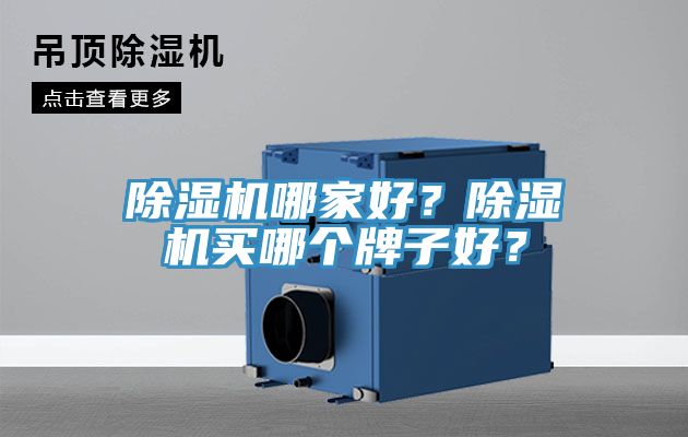 除濕機哪家好？除濕機買哪個牌子好？
