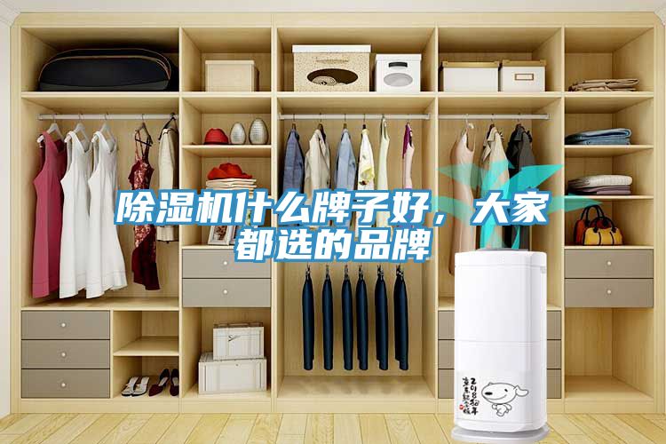 除濕機什么牌子好，大家都選的品牌