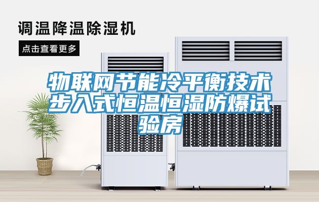 物聯(lián)網節(jié)能冷平衡技術步入式恒溫恒濕防爆試驗房