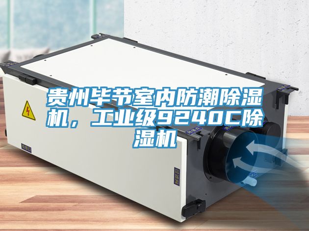 貴州畢節(jié)室內(nèi)防潮除濕機(jī)，工業(yè)級(jí)9240C除濕機(jī)
