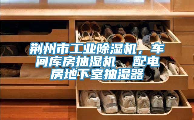 荊州市工業(yè)除濕機(jī)，車間庫(kù)房抽濕機(jī)  配電房地下室抽濕器
