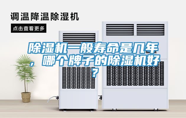除濕機一般壽命是幾年，哪個牌子的除濕機好？
