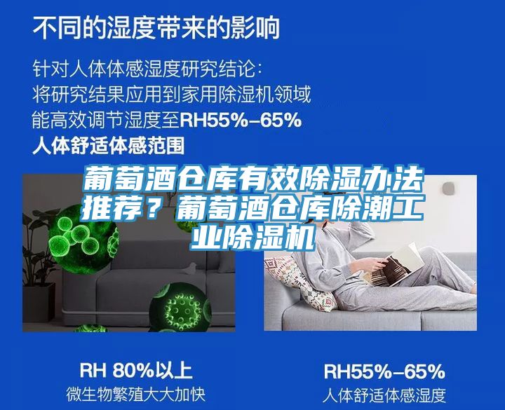 葡萄酒倉庫有效除濕辦法推薦？葡萄酒倉庫除潮工業(yè)除濕機