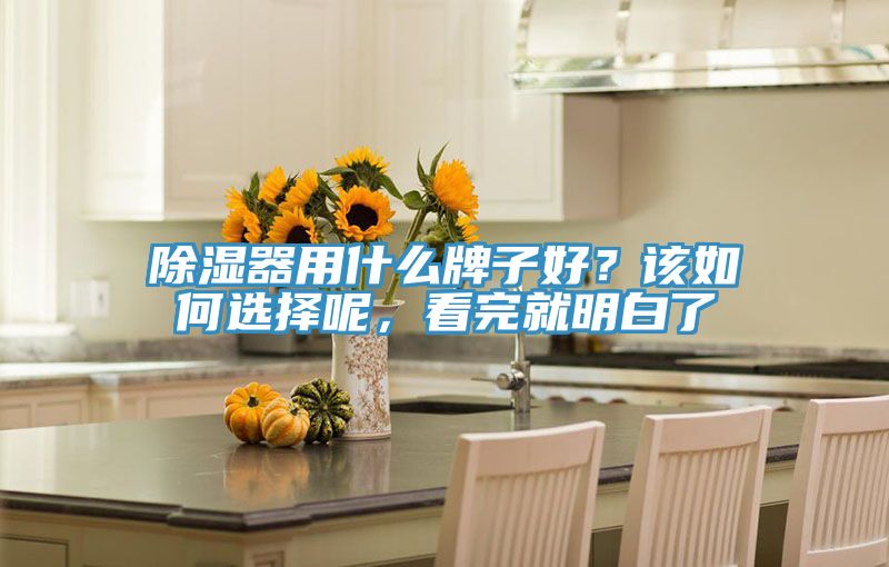 除濕器用什么牌子好？該如何選擇呢，看完就明白了