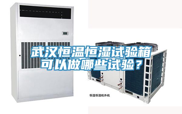 武漢恒溫恒濕試驗箱可以做哪些試驗？