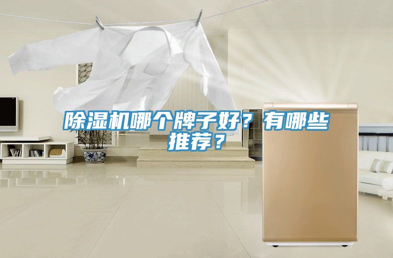 除濕機哪個牌子好？有哪些推薦？