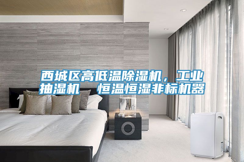 西城區(qū)高低溫除濕機(jī)，工業(yè)抽濕機(jī)  恒溫恒濕非標(biāo)機(jī)器