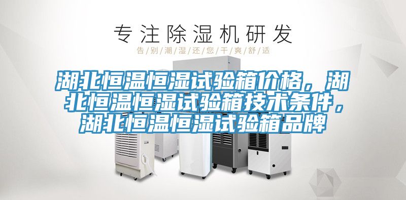 湖北恒溫恒濕試驗(yàn)箱價(jià)格，湖北恒溫恒濕試驗(yàn)箱技術(shù)條件，湖北恒溫恒濕試驗(yàn)箱品牌