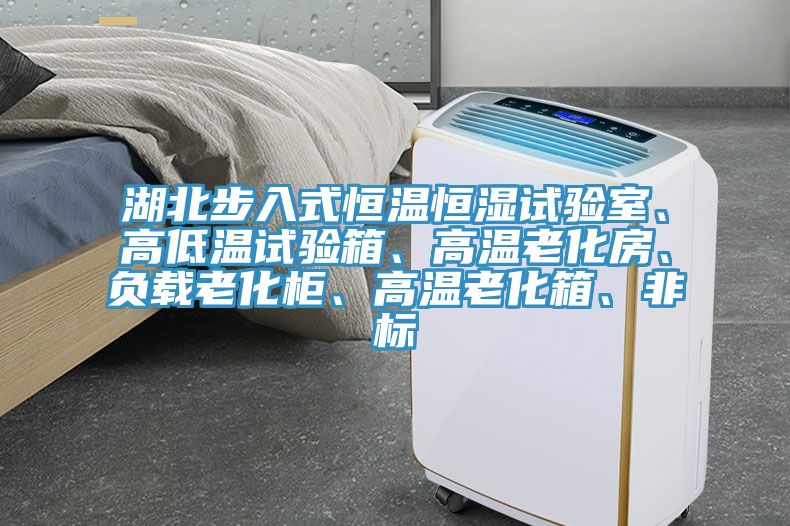 湖北步入式恒溫恒濕試驗(yàn)室、高低溫試驗(yàn)箱、高溫老化房、負(fù)載老化柜、高溫老化箱、非標(biāo)