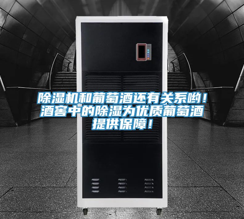除濕機和葡萄酒還有關(guān)系喲！酒窖中的除濕為優(yōu)質(zhì)葡萄酒提供保障！