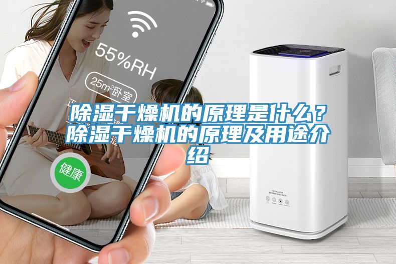 除濕干燥機(jī)的原理是什么？除濕干燥機(jī)的原理及用途介紹