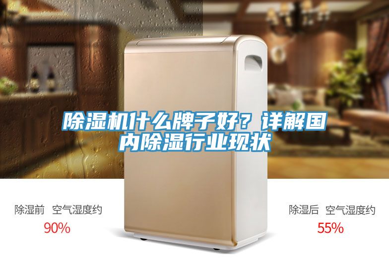 除濕機(jī)什么牌子好？詳解國(guó)內(nèi)除濕行業(yè)現(xiàn)狀