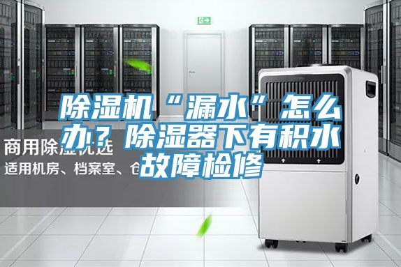 除濕機“漏水”怎么辦？除濕器下有積水故障檢修