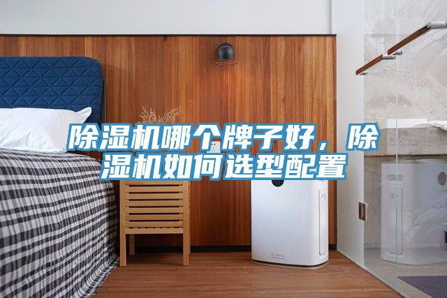 除濕機哪個牌子好，除濕機如何選型配置