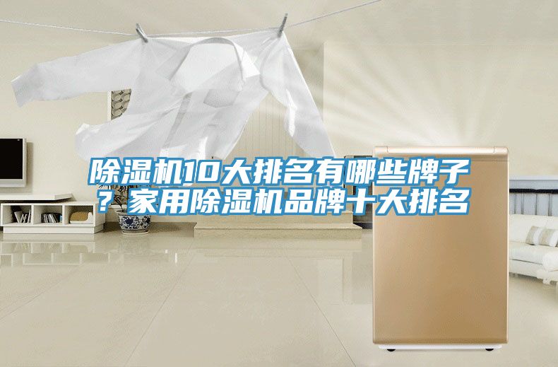 除濕機(jī)10大排名有哪些牌子？家用除濕機(jī)品牌十大排名