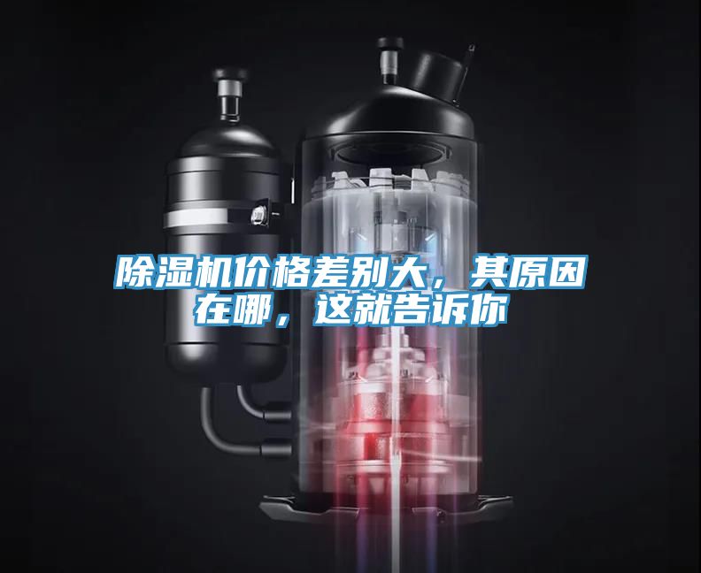 除濕機(jī)價(jià)格差別大，其原因在哪，這就告訴你