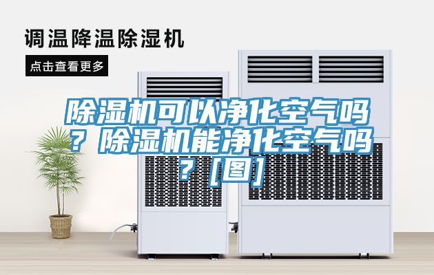 除濕機可以凈化空氣嗎？除濕機能凈化空氣嗎？[圖]