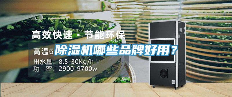 除濕機(jī)哪些品牌好用？