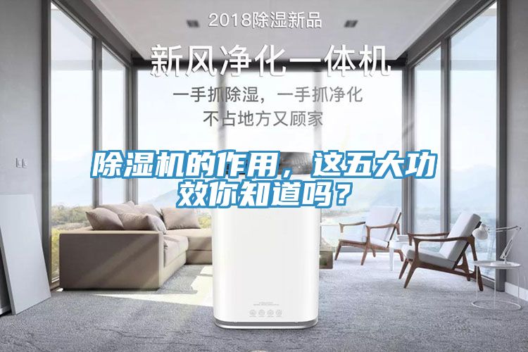 除濕機(jī)的作用，這五大功效你知道嗎？