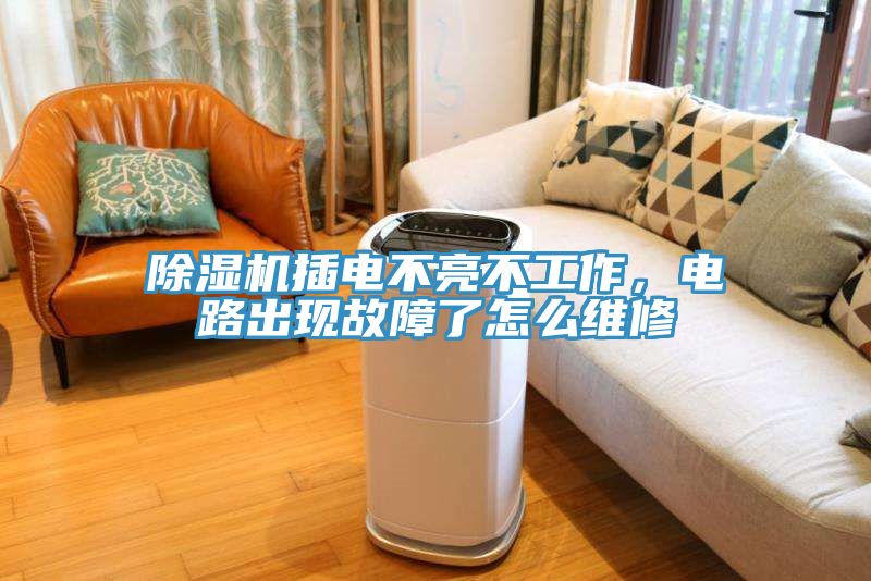 除濕機插電不亮不工作，電路出現(xiàn)故障了怎么維修