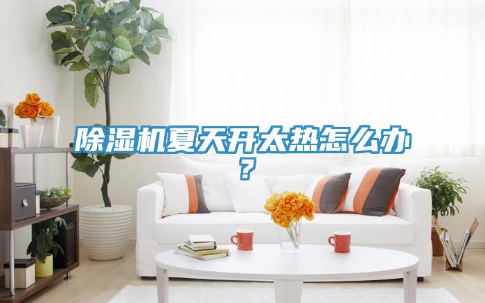 除濕機(jī)夏天開太熱怎么辦？