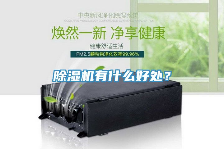 除濕機(jī)有什么好處？
