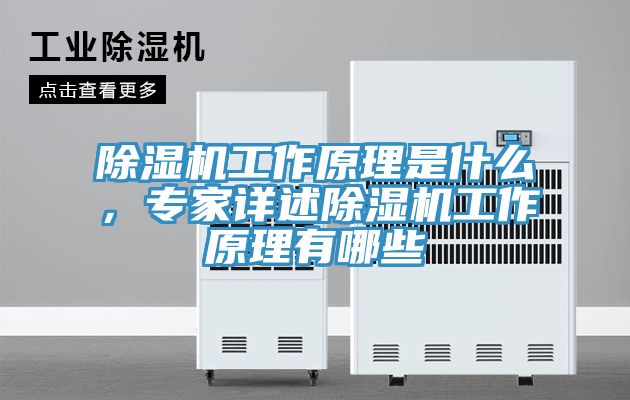 除濕機(jī)工作原理是什么，專家詳述除濕機(jī)工作原理有哪些