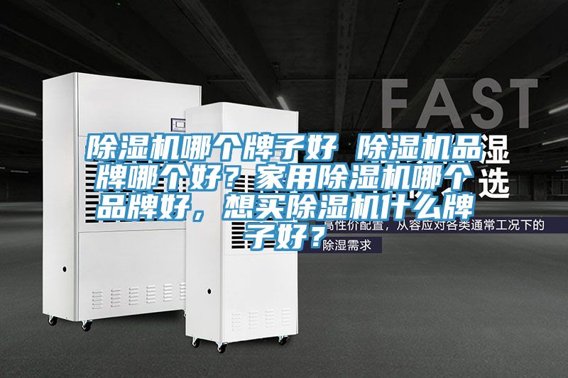 除濕機哪個牌子好 除濕機品牌哪個好？家用除濕機哪個品牌好，想買除濕機什么牌子好？